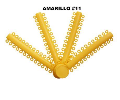 Módulos Ligaduras Ligas  COLORES