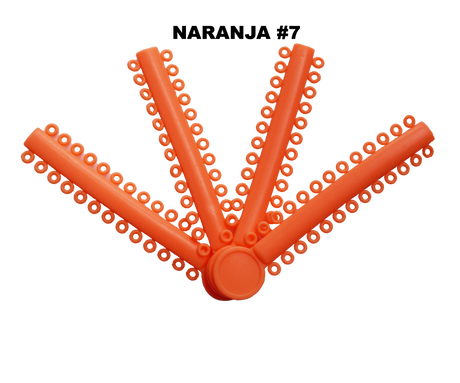 Módulos Ligaduras Ligas  COLORES