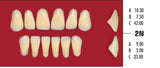Dientes CORAL resina acrílica 2 capas CAJA con 20 tablillas