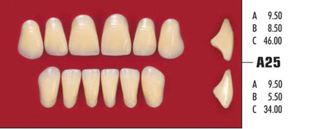 Dientes CORAL resina acrílica 2 capas CAJA con 20 tablillas