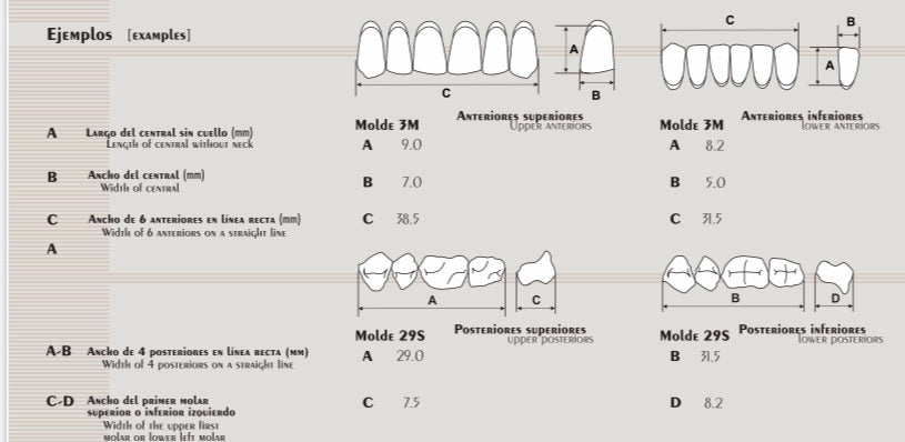 Dientes CORAL resina acrílica 2 capas CAJA con 20 tablillas