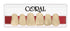 Dientes CORAL resina acrílica 2 capas CAJA con 20 tablillas